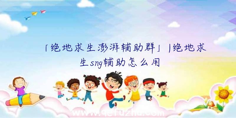 「绝地求生澎湃辅助群」|绝地求生sng辅助怎么用